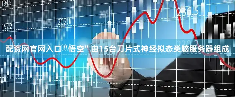配资网官网入口“悟空”由15台刀片式神经拟态类脑服务器组成